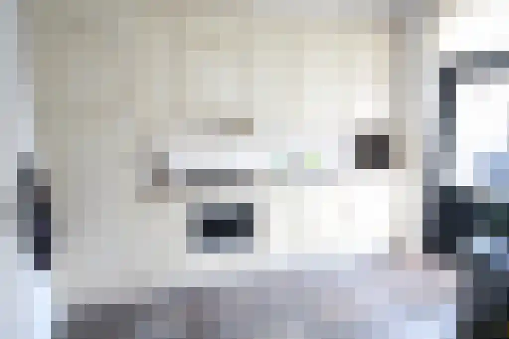 Karpatenlaan Tilburg thumbnail 4