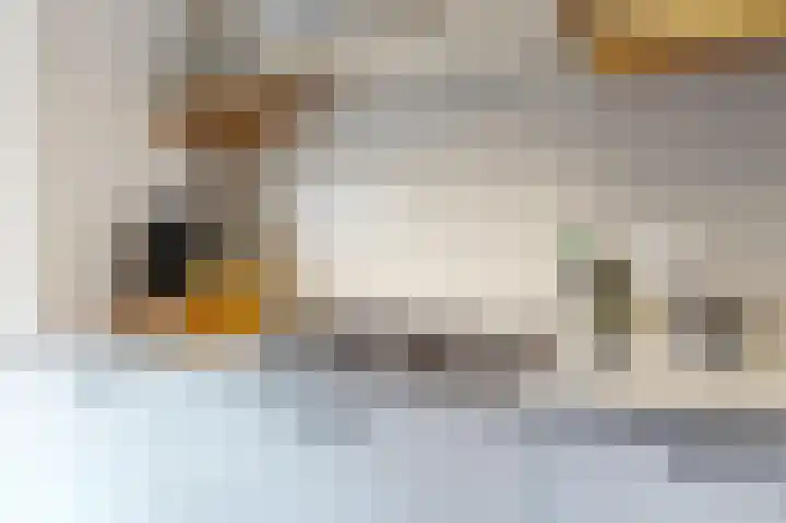 Karpatenstraat 9 Woerden thumbnail 11