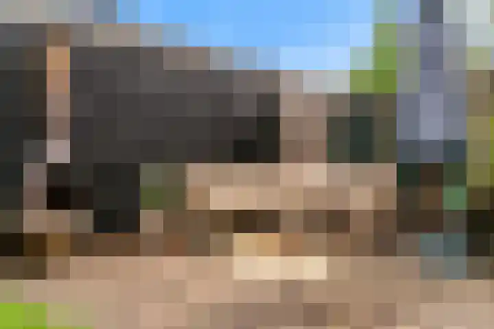 Karpatenstraat 9 Woerden thumbnail 32