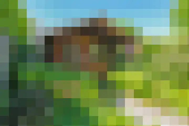Karper 1 Doetinchem thumbnail 19