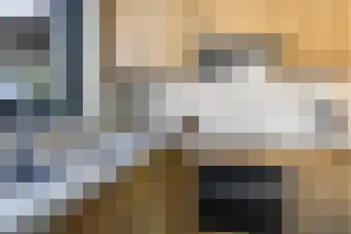 Karper 1 Doetinchem thumbnail 23