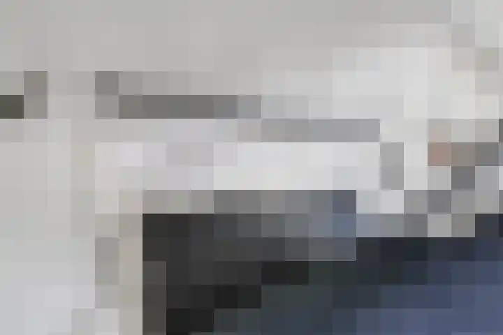 Karper 1 Doetinchem thumbnail 26