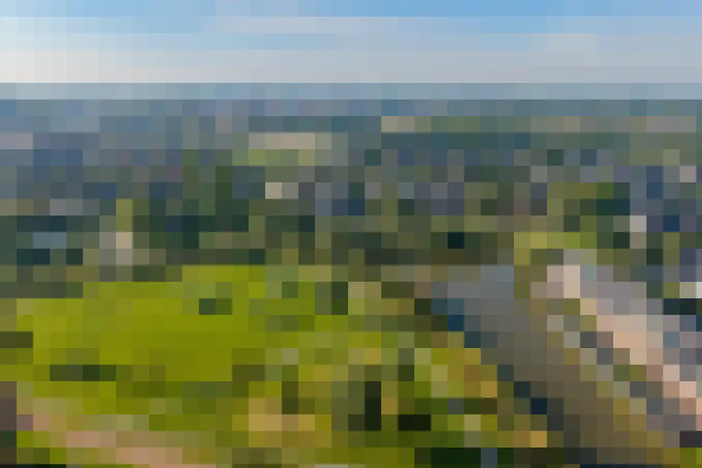Karper 21 Schagen thumbnail 22