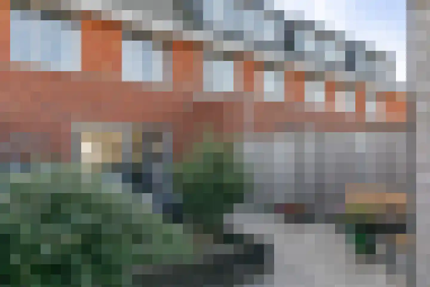 Karper 21 Schagen foto 3