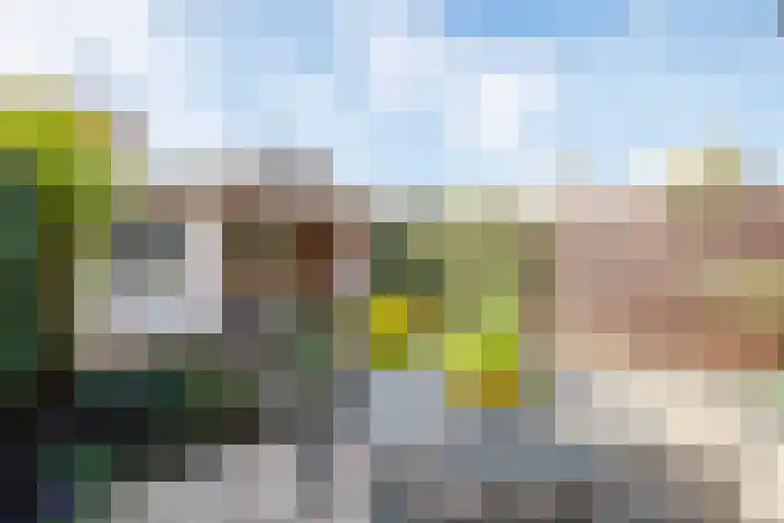 Karper 23 Doetinchem thumbnail 11