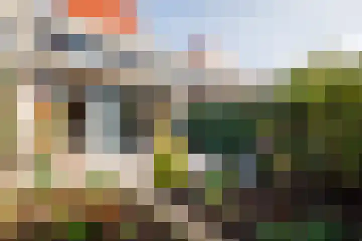 Karper 23 Doetinchem thumbnail 13
