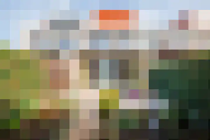 Karper 23 Doetinchem thumbnail 14