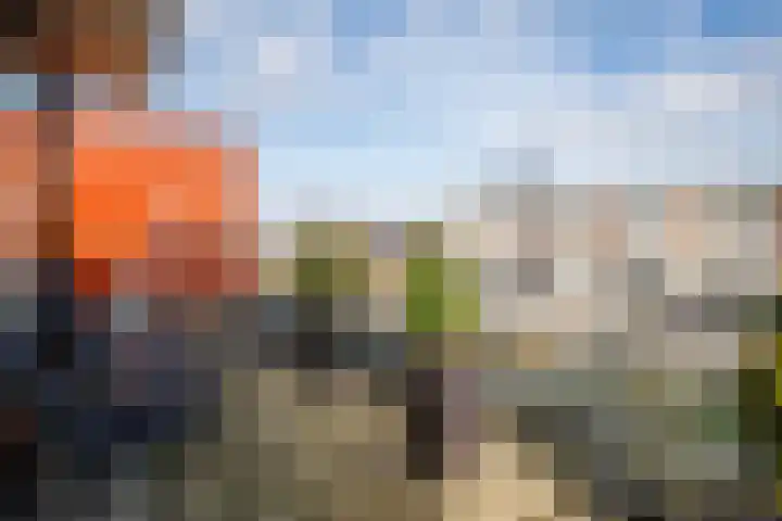 Karper 23 Doetinchem thumbnail 30