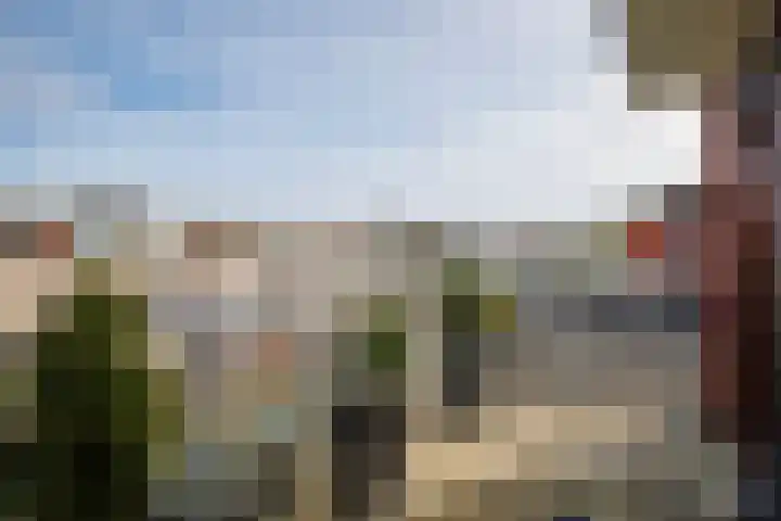 Karper 23 Doetinchem thumbnail 31