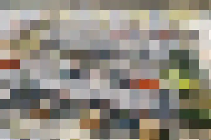 Karper 23 Doetinchem thumbnail 32