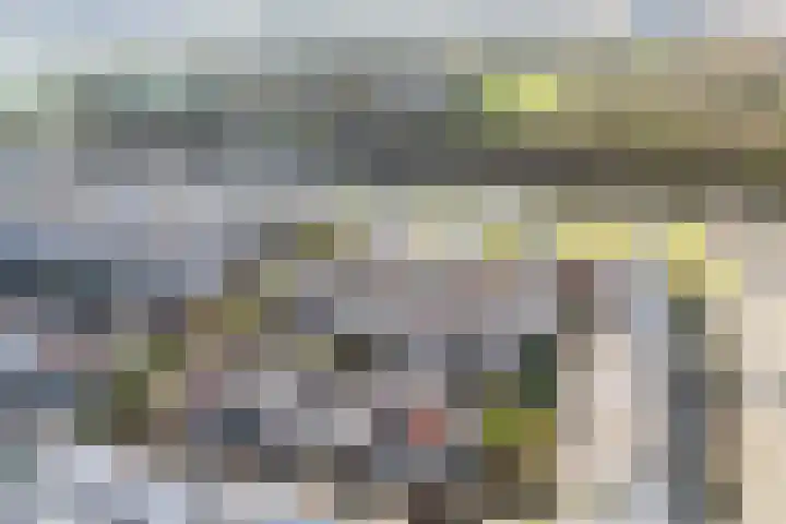 Karper 23 Doetinchem thumbnail 33
