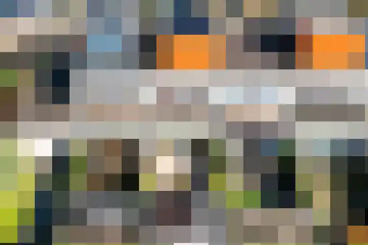 Karper 23 Doetinchem thumbnail 34