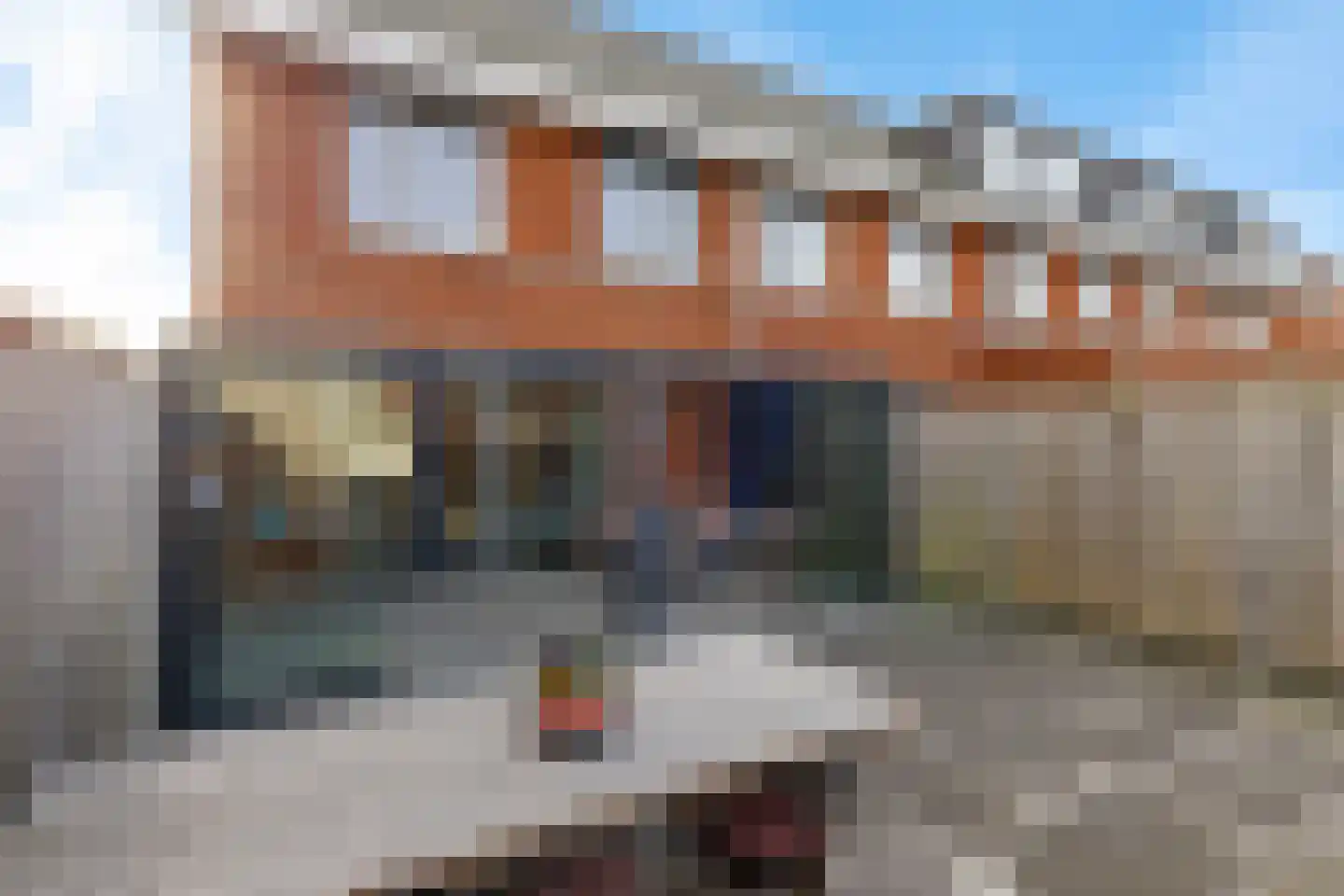 Karper 23 Schagen thumbnail 41