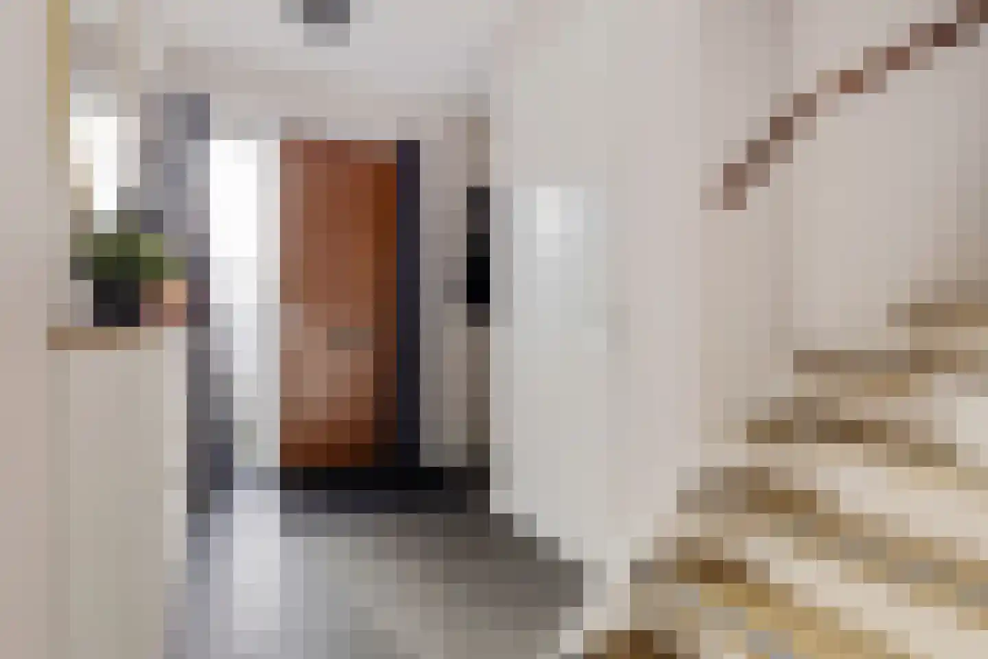 Karper 23 Schagen thumbnail 5