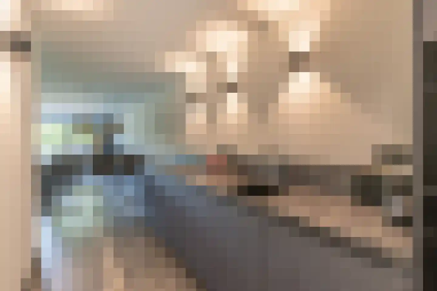 Karper 25 Amersfoort thumbnail 11