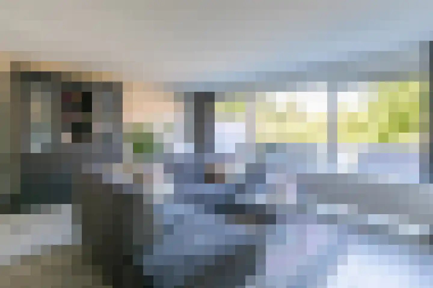 Karper 25 Amersfoort thumbnail 15