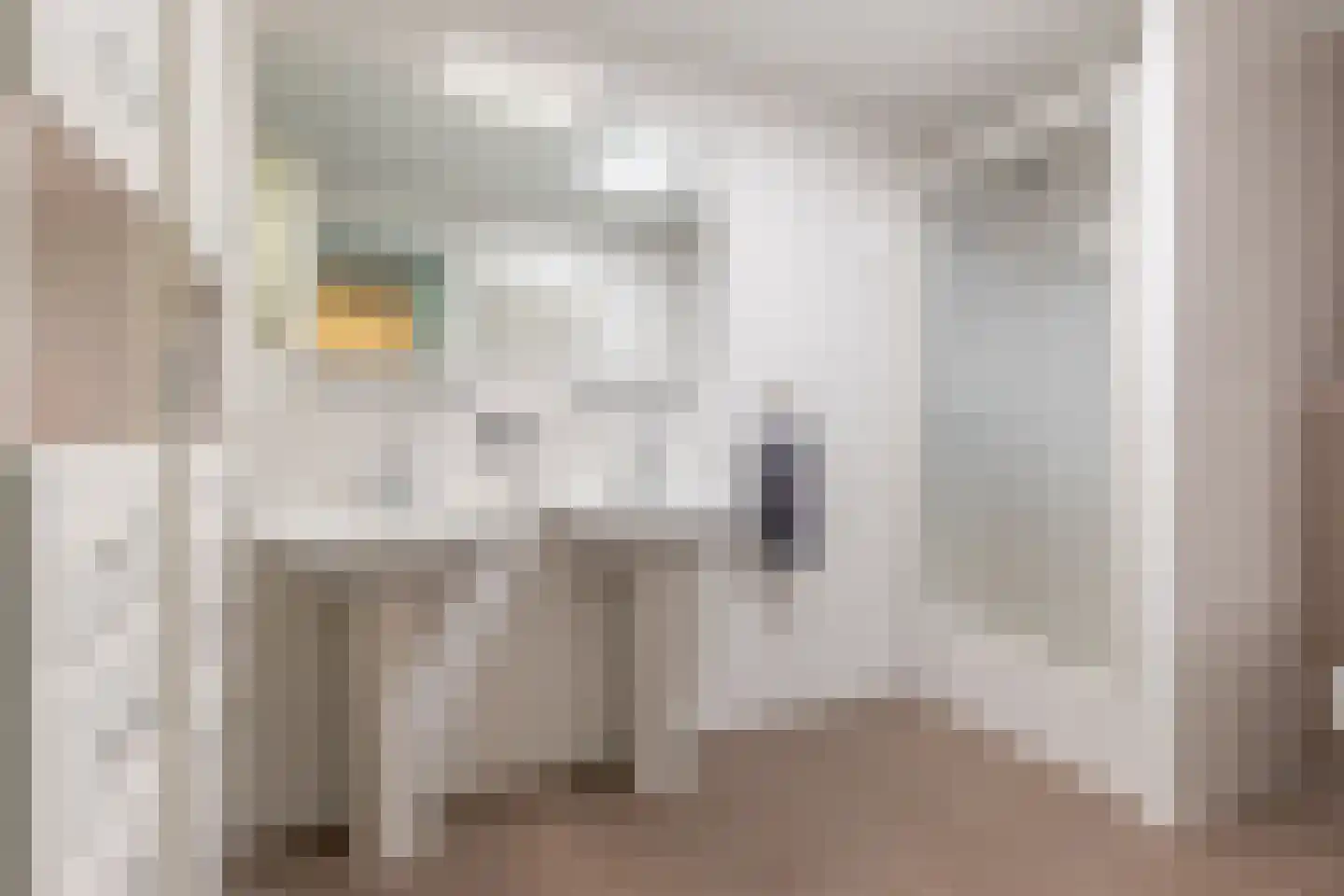Karper 25 Amersfoort thumbnail 27