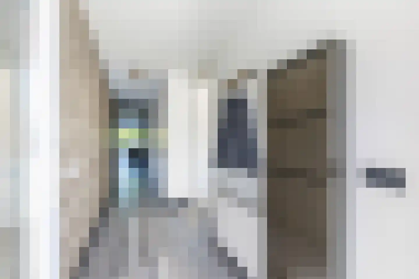 Karper 25 Amersfoort thumbnail 7