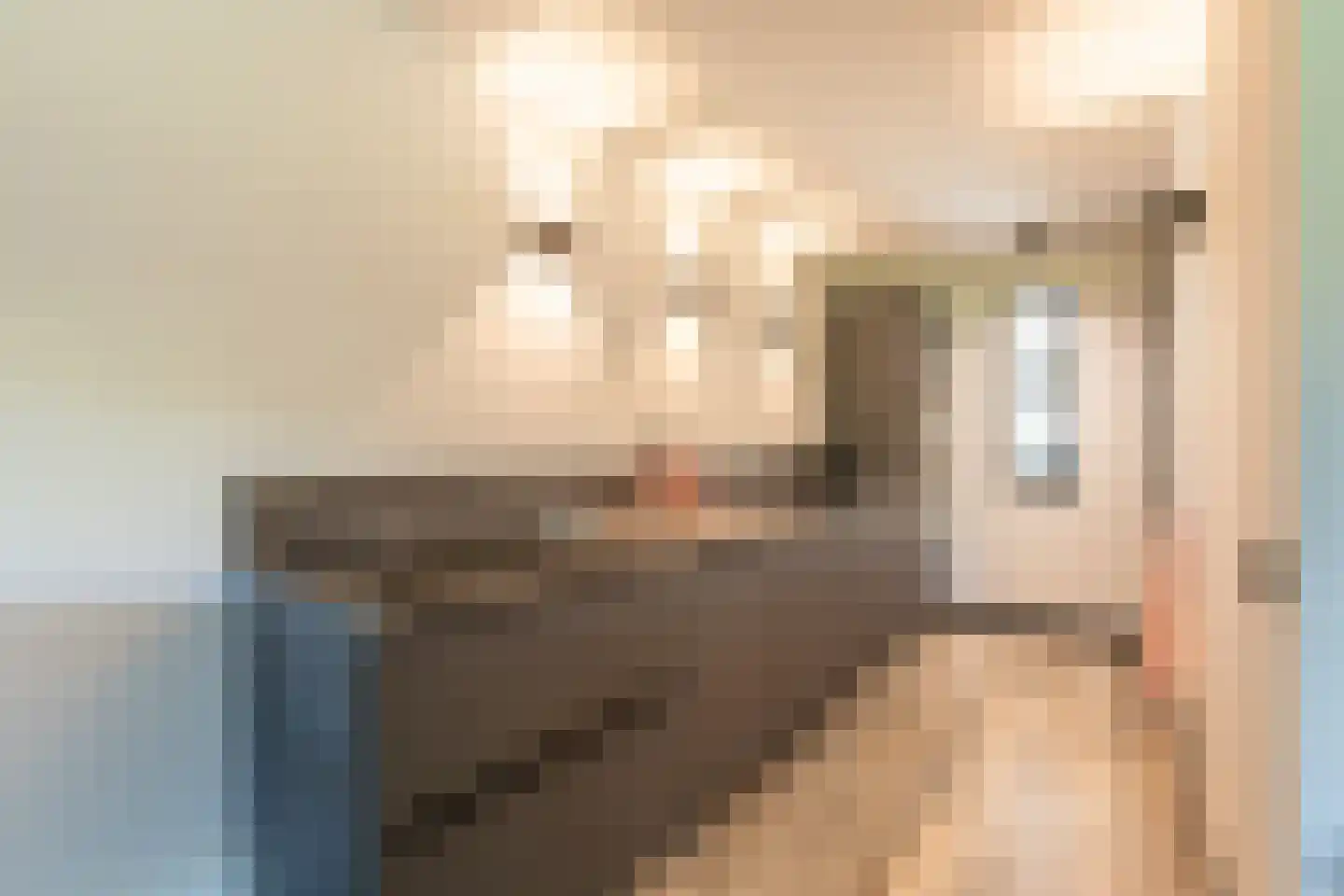 Karper 25 Amersfoort thumbnail 9