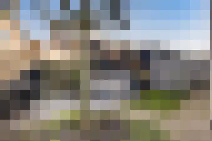 Karper 28 Hoogeveen thumbnail 31