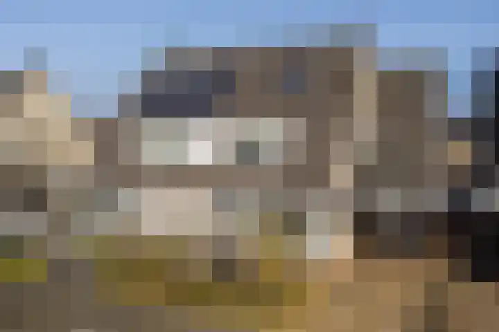 Karper 28 Hoogeveen thumbnail 33