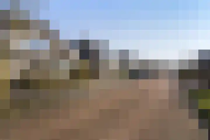 Karper 28 Hoogeveen thumbnail 34