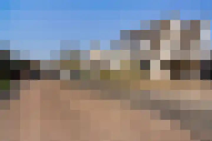Karper 28 Hoogeveen thumbnail 35