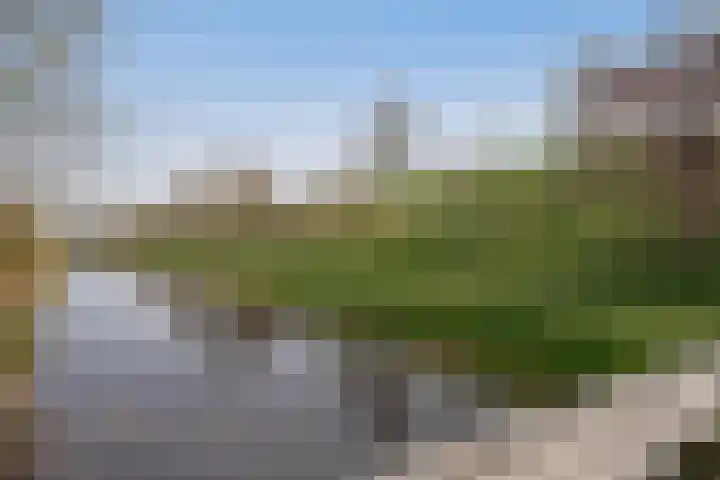 Karper 28 Hoogeveen thumbnail 37