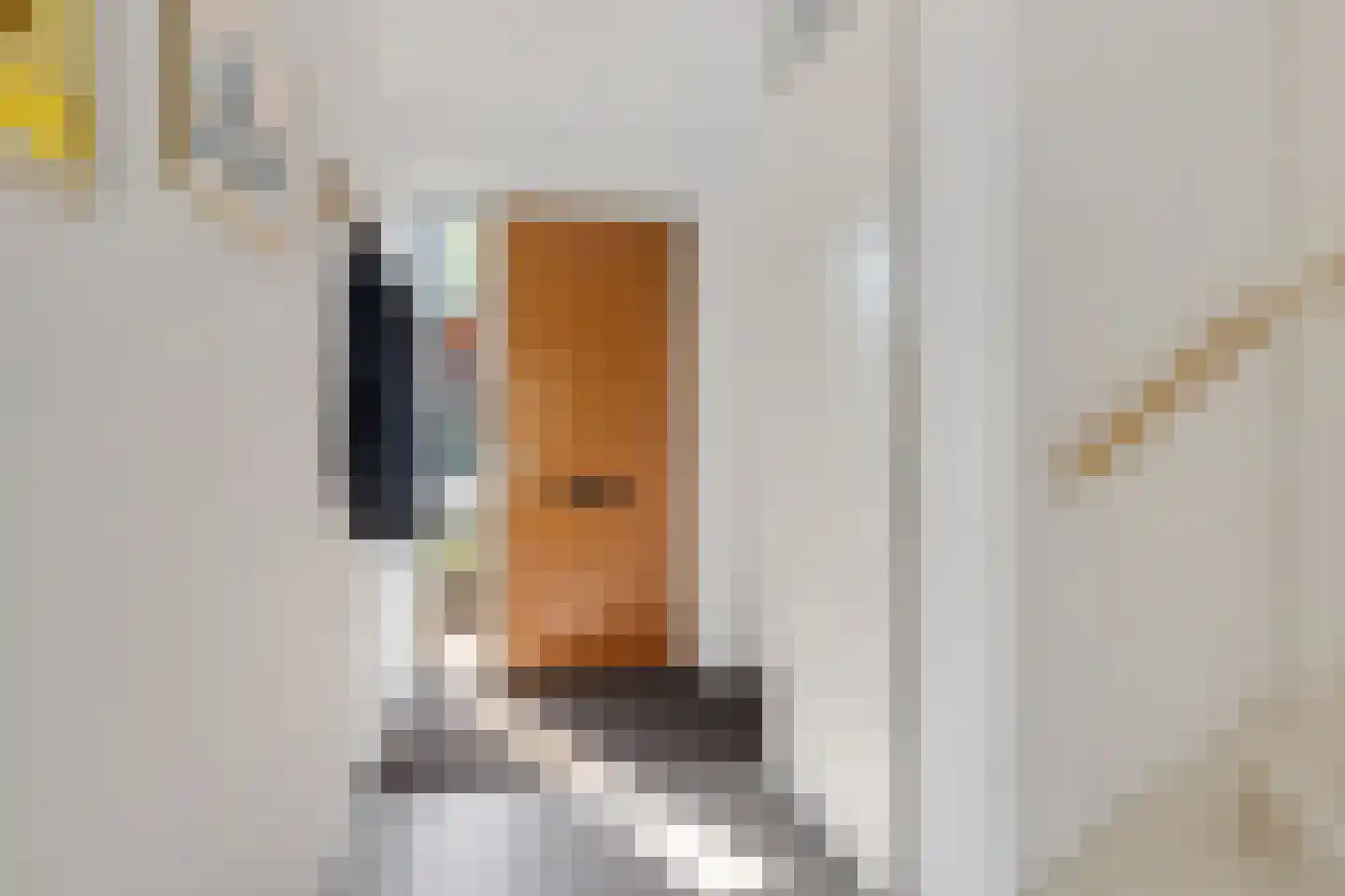 Karper 39 Schagen thumbnail 10