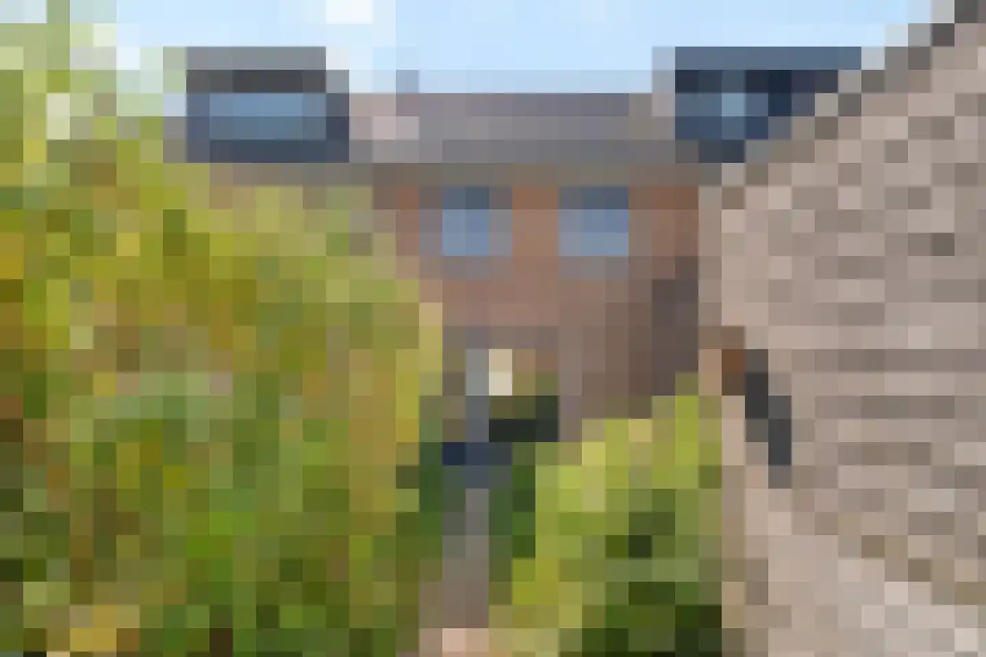 Karper 39 Schagen thumbnail 32