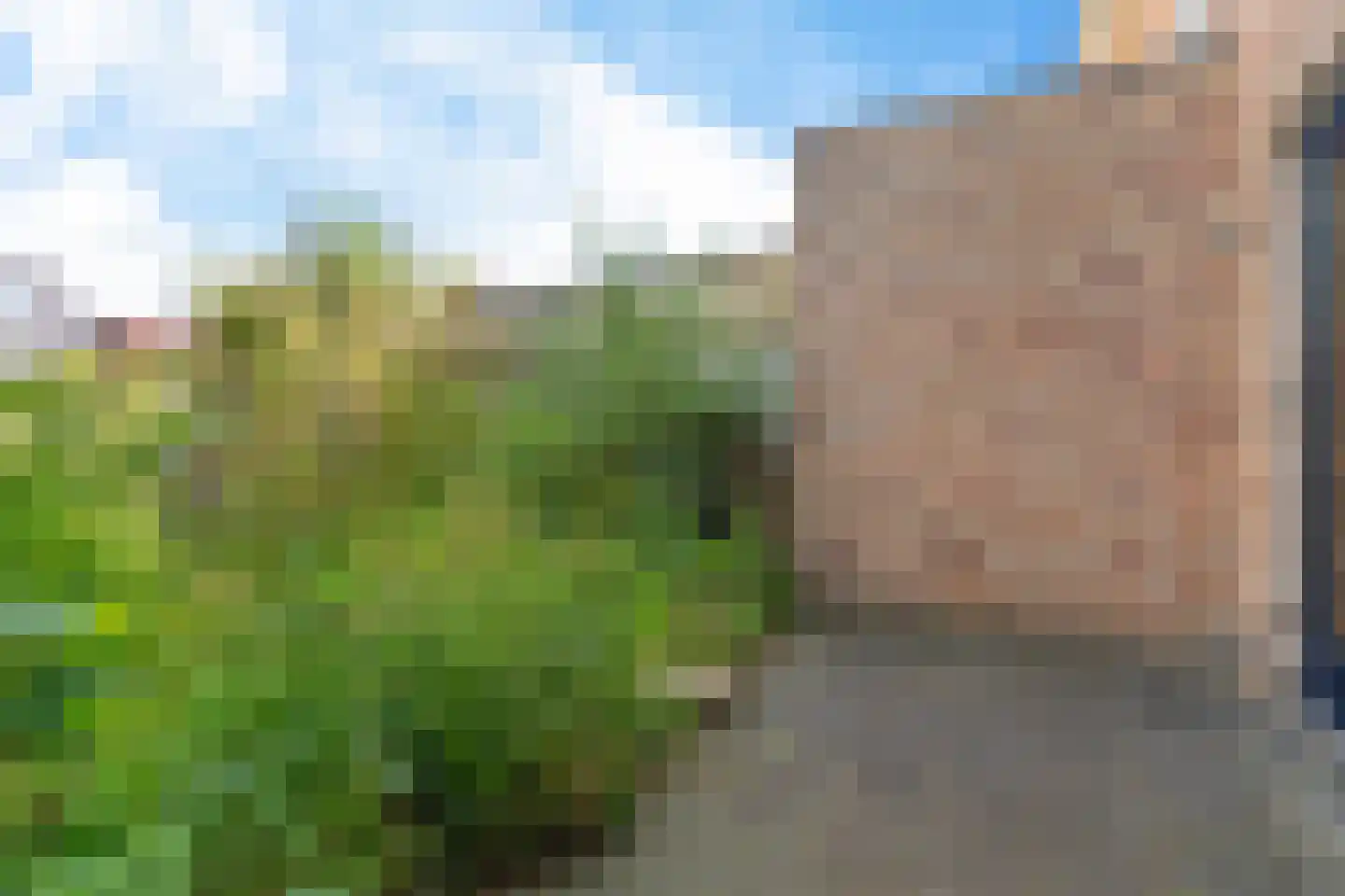 Karper 39 Schagen thumbnail 34