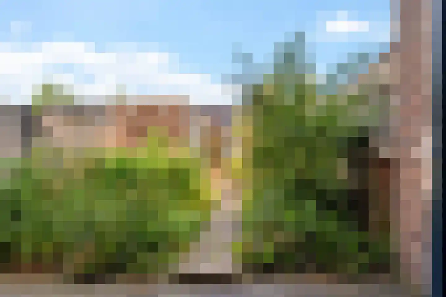Karper 39 Schagen thumbnail 35