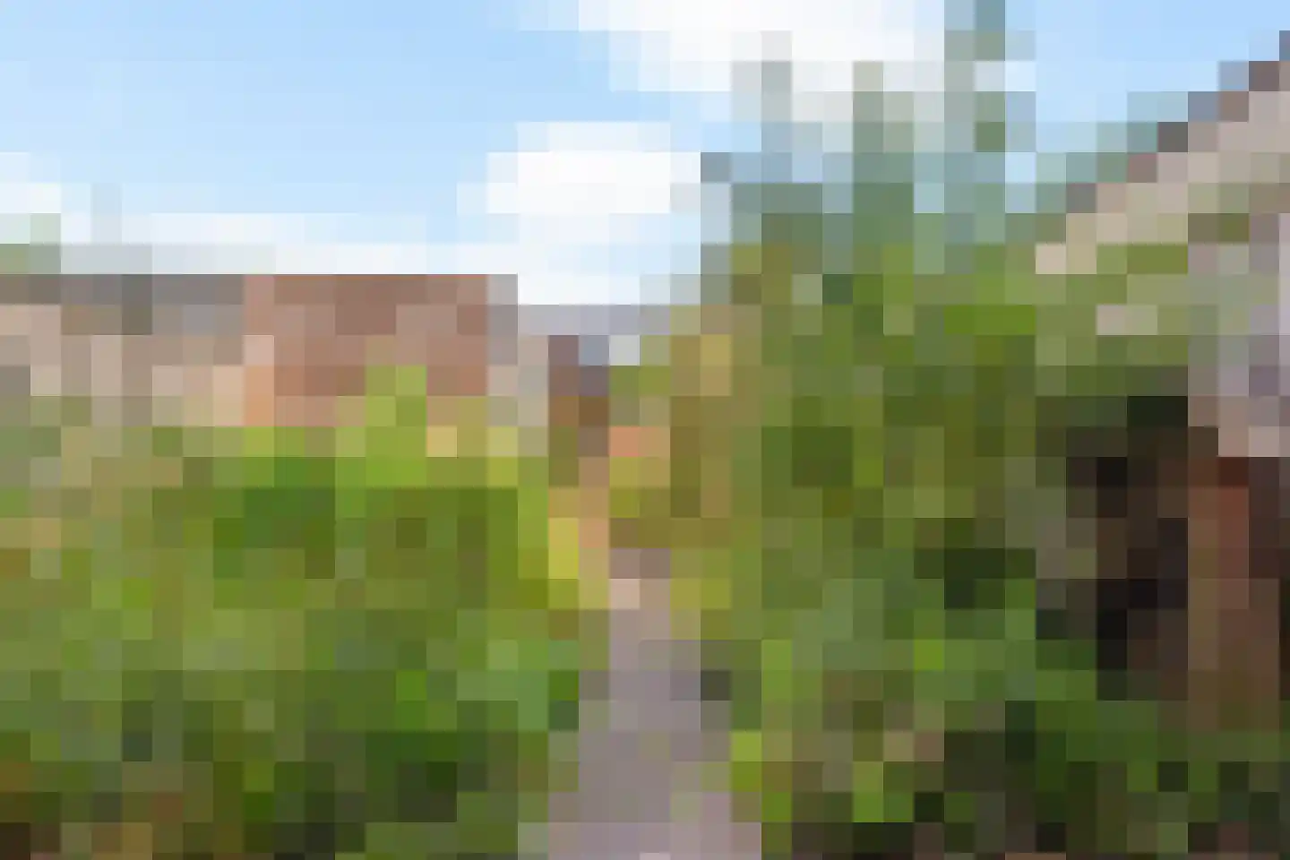 Karper 39 Schagen thumbnail 36