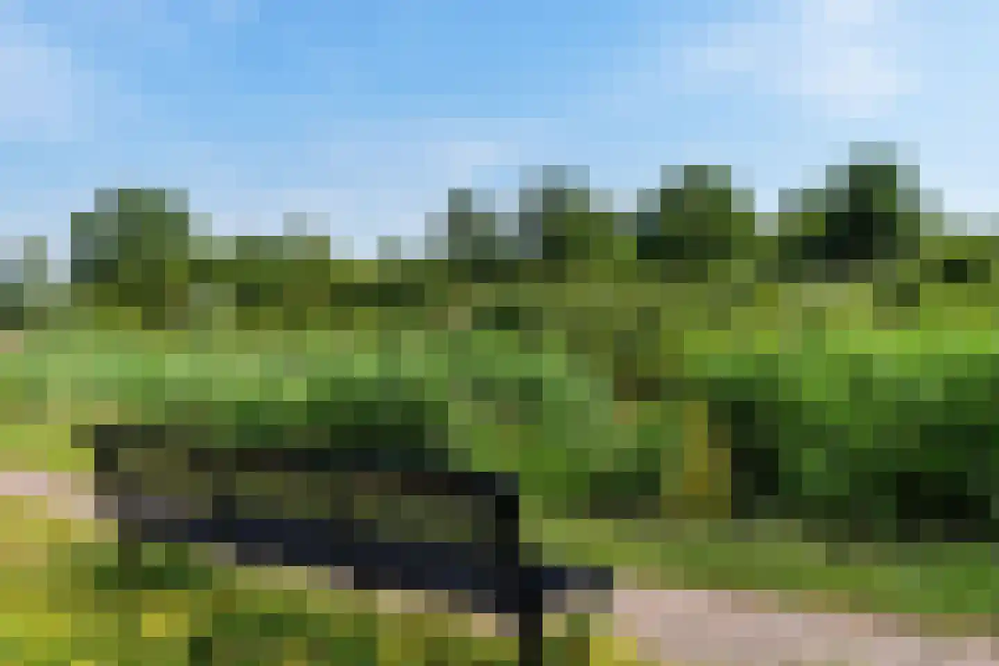 Karper 39 Schagen thumbnail 39