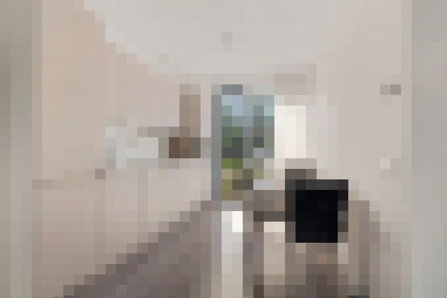 Karper 39 Schagen thumbnail 4