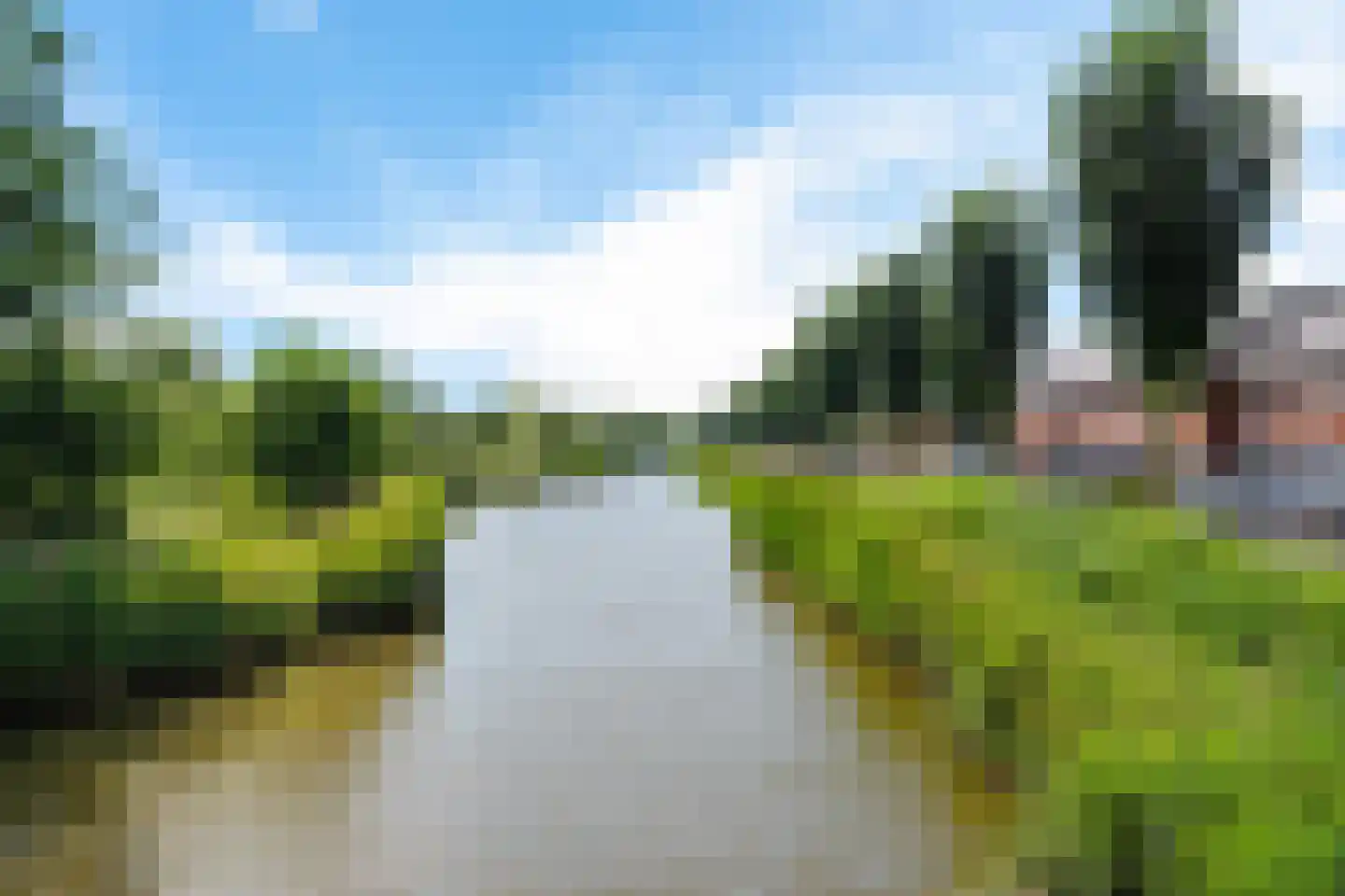 Karper 39 Schagen thumbnail 40