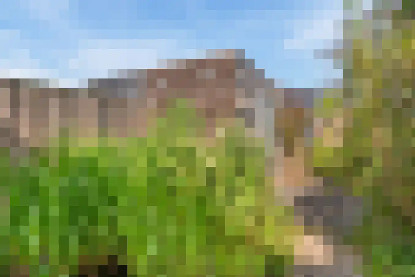 Karper 39 Schagen thumbnail 7