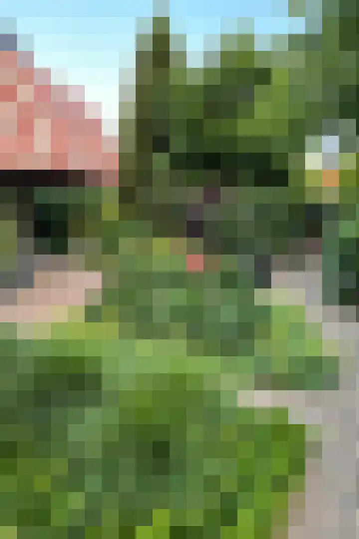 Karper 4 Alblasserdam thumbnail 10