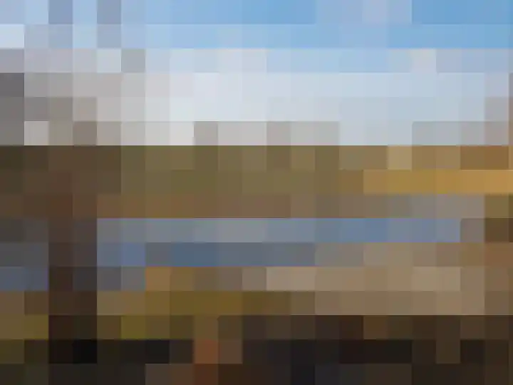 Karper 4 Alblasserdam thumbnail 11