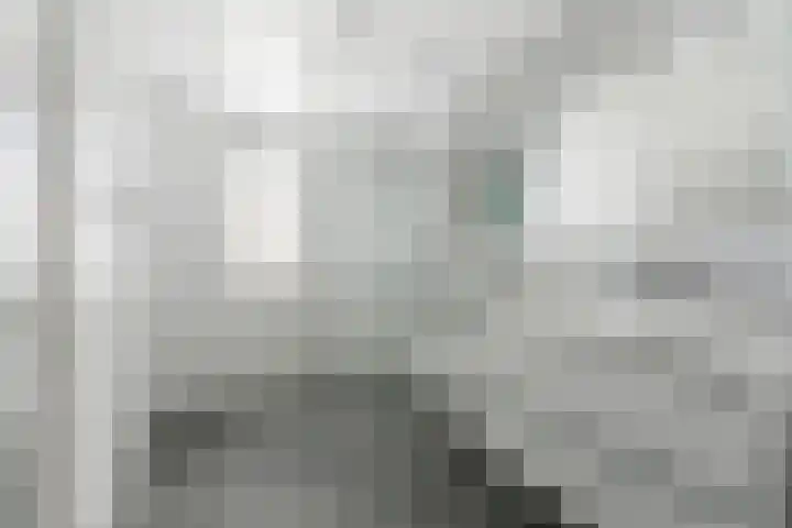 Karper 4 Alblasserdam thumbnail 17