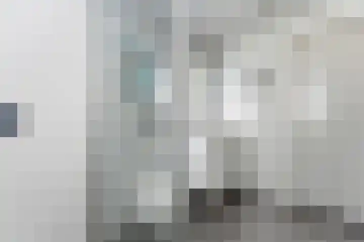 Karper 4 Alblasserdam thumbnail 18