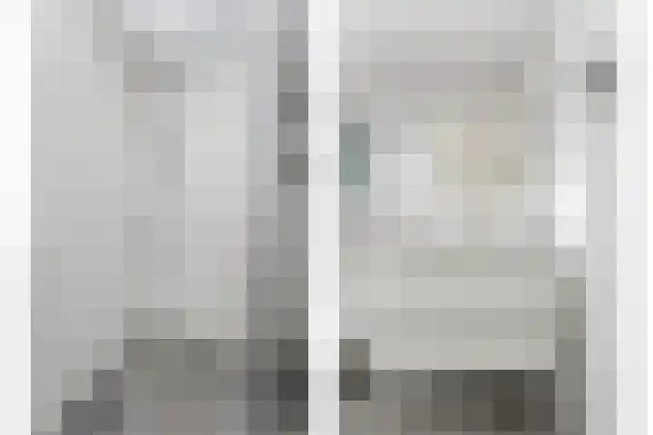 Karper 4 Alblasserdam thumbnail 19