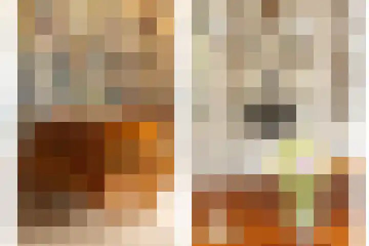 Karper 4 Alblasserdam thumbnail 24