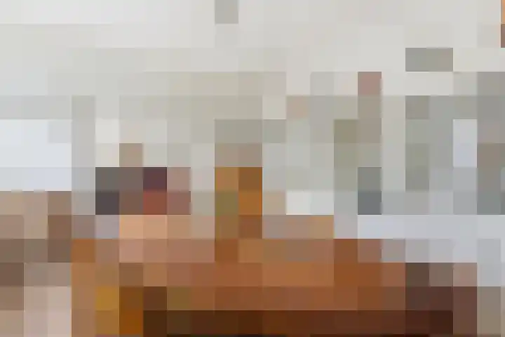Karper 4 Alblasserdam thumbnail 28