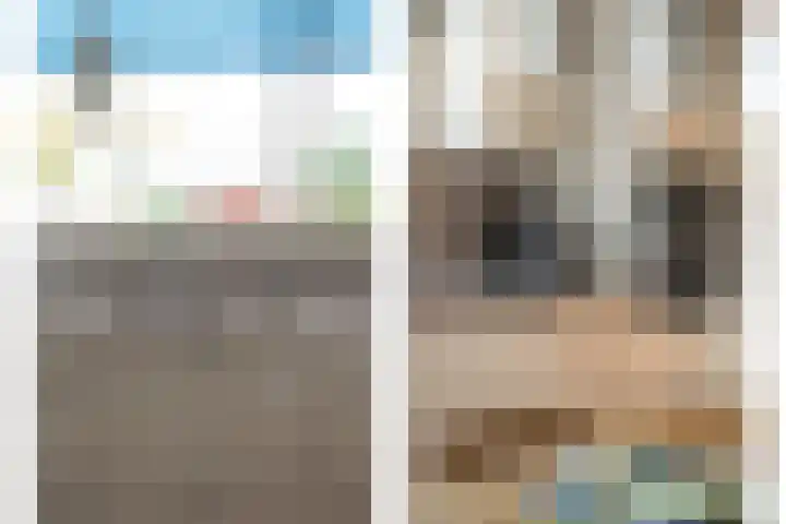 Karper 4 Alblasserdam thumbnail 41