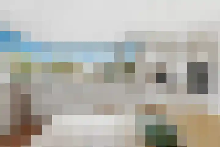 Karper 4 Alblasserdam thumbnail 42