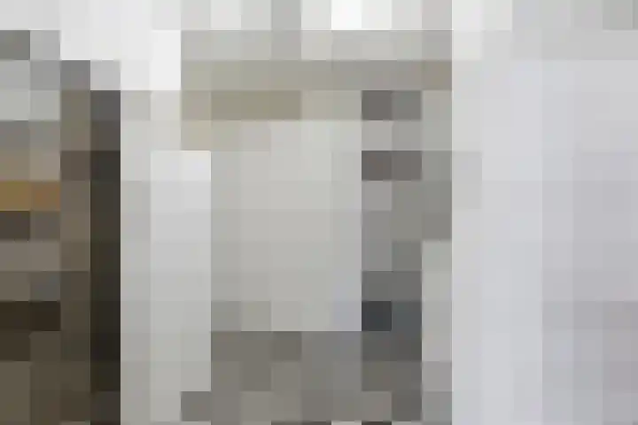 Karper 4 Alblasserdam thumbnail 43