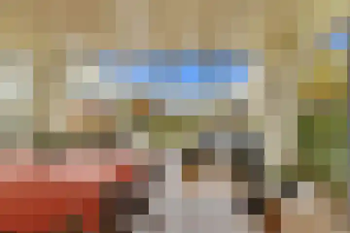 Karper 4 Alblasserdam thumbnail 48