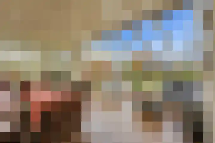 Karper 4 Alblasserdam thumbnail 49