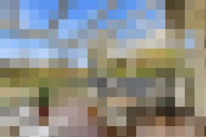 Karper 4 Alblasserdam thumbnail 50